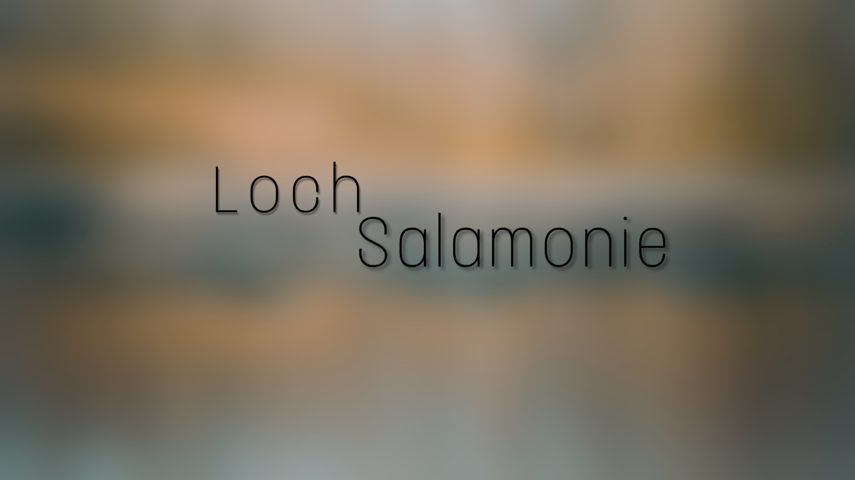 Loch Salamonie banner